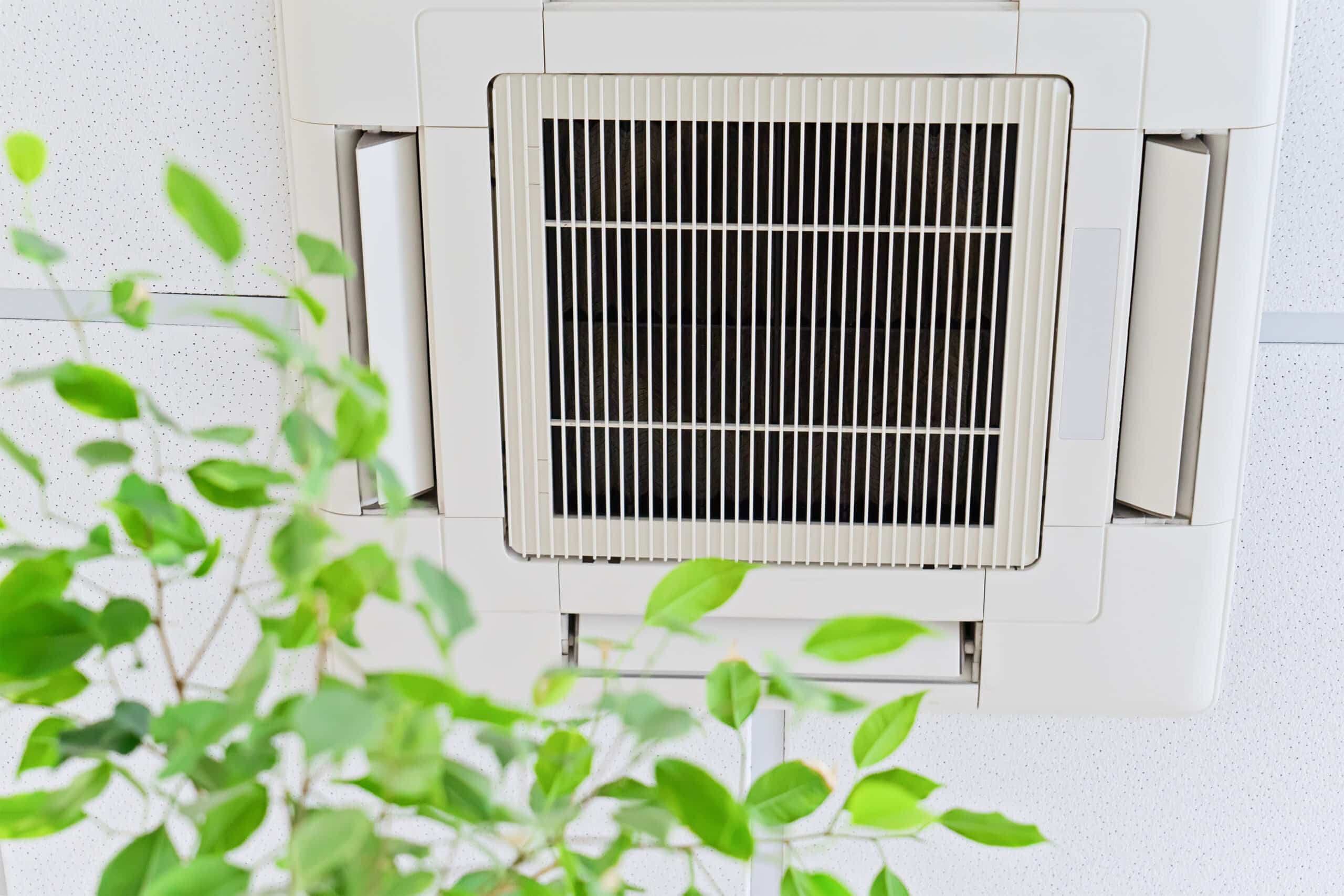 indoor air quality,